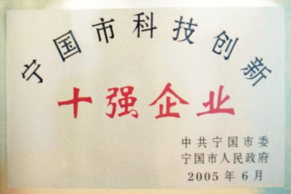 十强企业